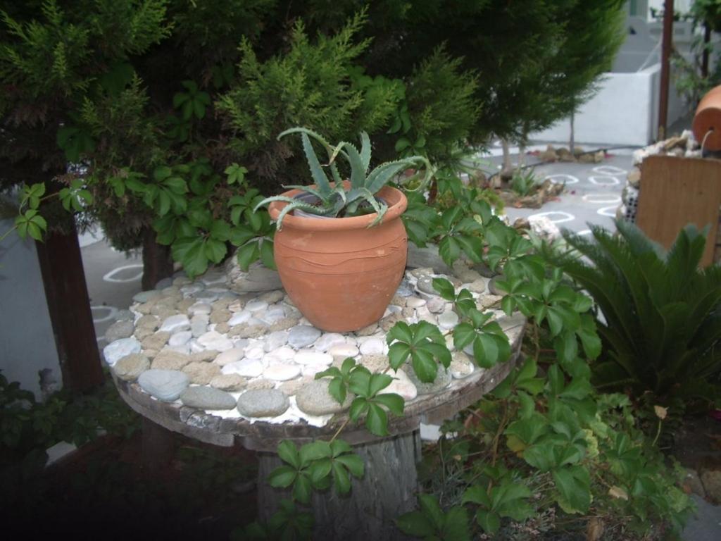 Skyros Panorama Studios 外观 照片