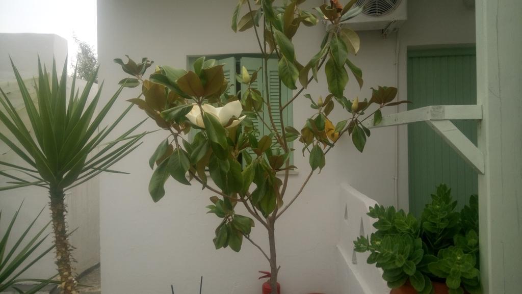 Skyros Panorama Studios 外观 照片