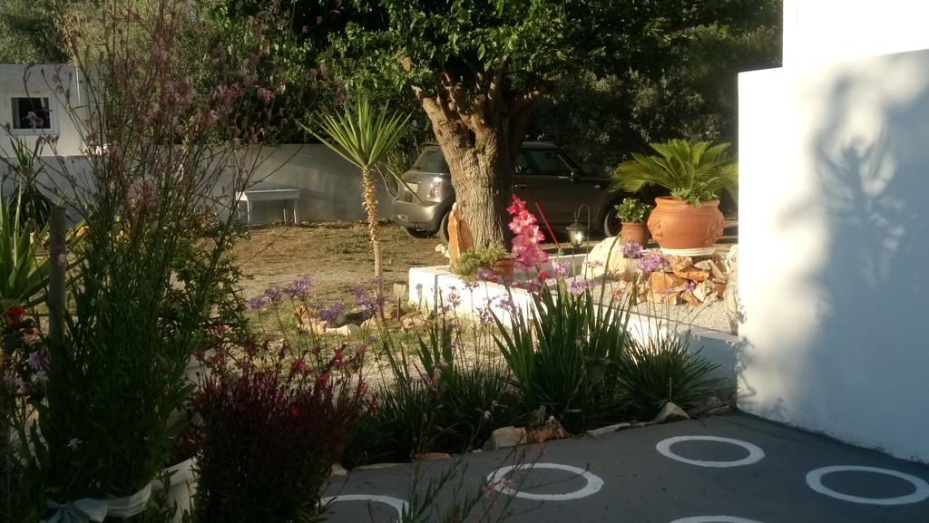 Skyros Panorama Studios 外观 照片