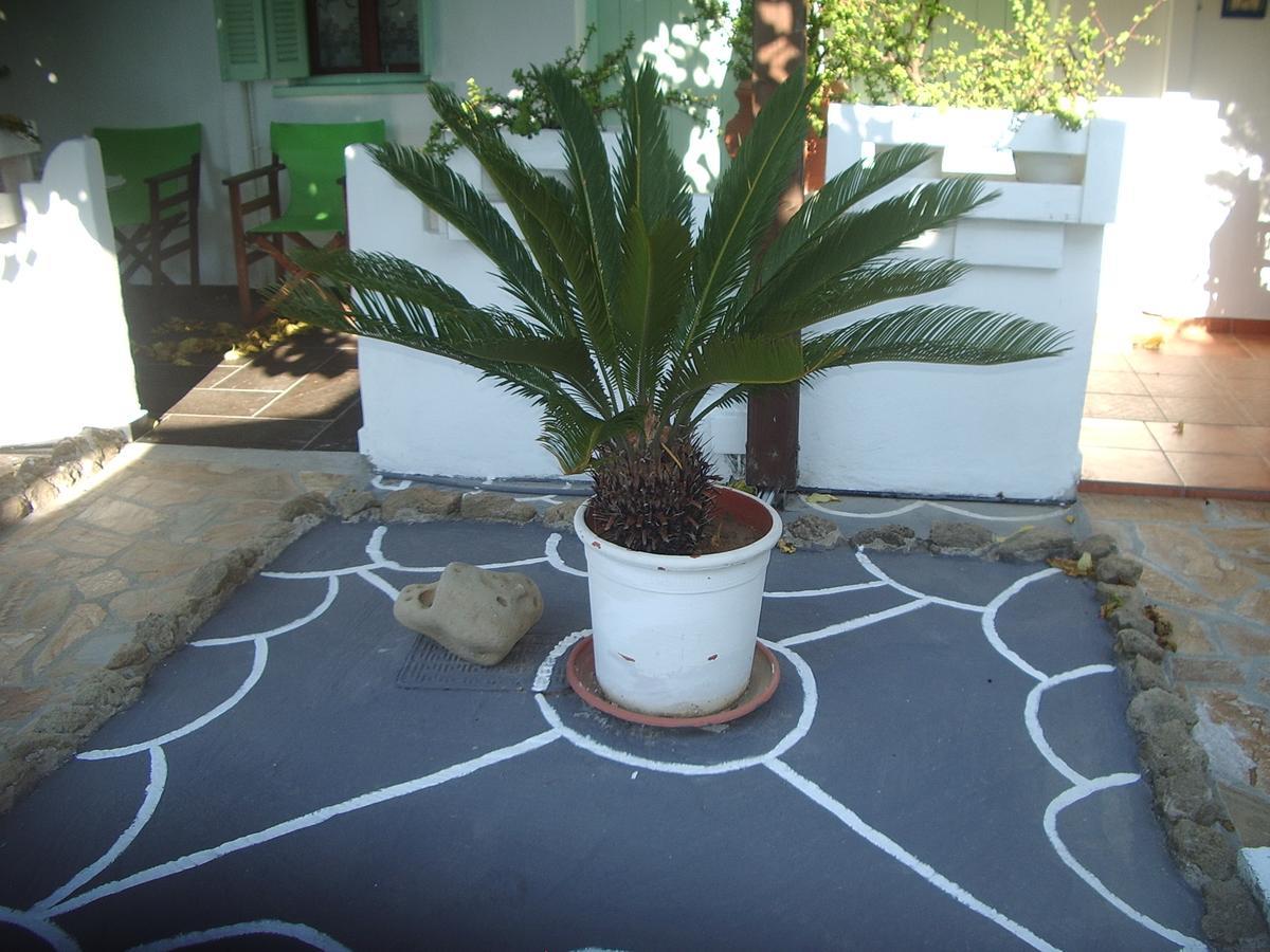 Skyros Panorama Studios 外观 照片